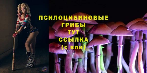 винт Гусев