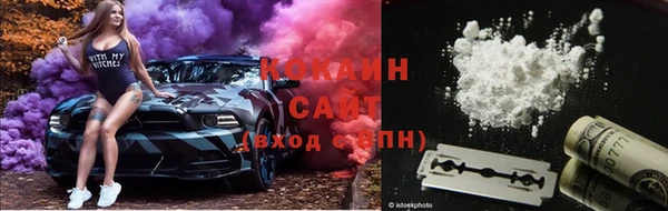 гидропоника Гусь-Хрустальный