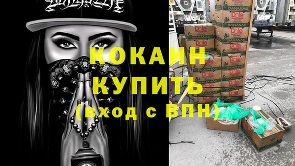 винт Гусев