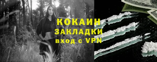 винт Гусев